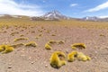 Route 23, a scenic road in the north ofÃÂ Chile Royalty Free Stock Photo